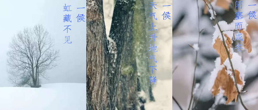 今日小雪，寒潮來襲，洗瓶機來幫你解放雙手吧！